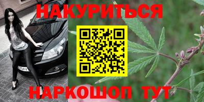 сатива Жуковский