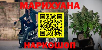 сатива Жуковский