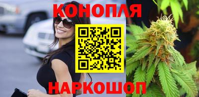 сатива Жуковский