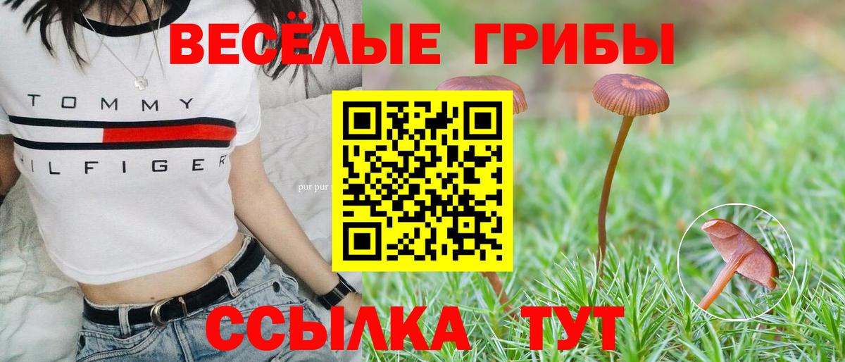 Минеральные Воды  магазин продажи наркотиков  Вход с VPN  Галлюциногенные грибы мицелий 