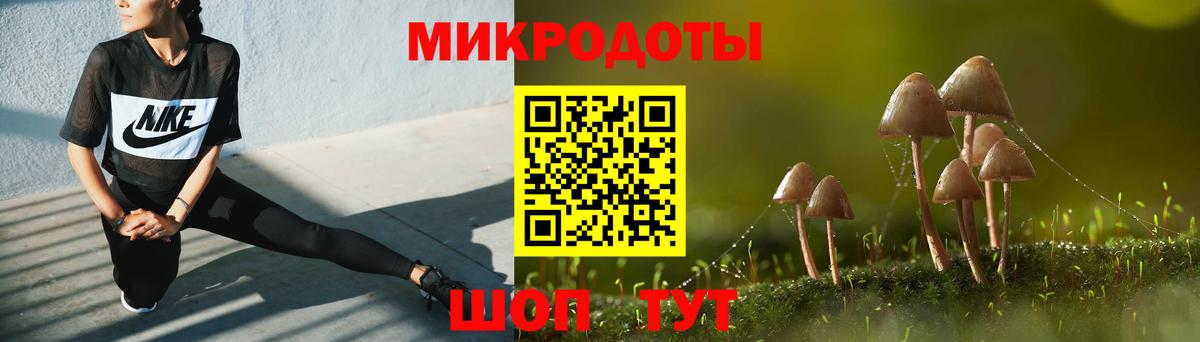 Галлюциногенные грибы мицелий Минеральные Воды